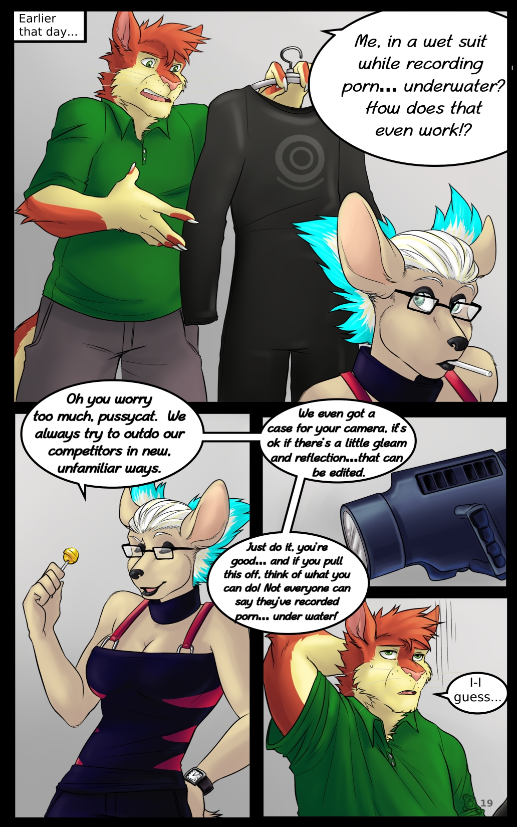 Page 19